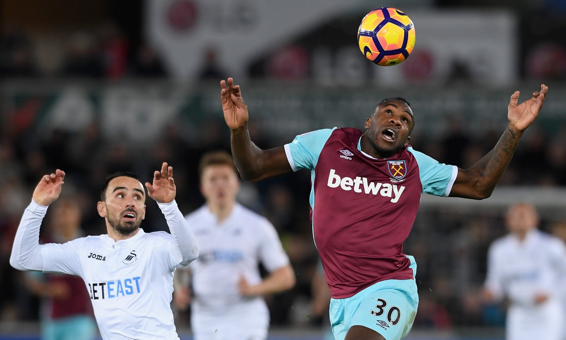 了广泛讨论 了广泛讨论