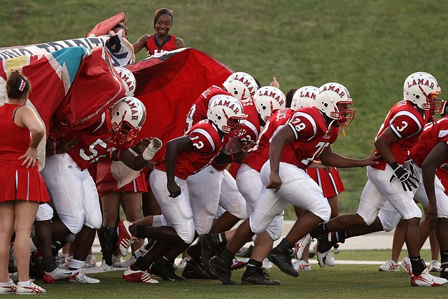 明星来增强 明星来增强