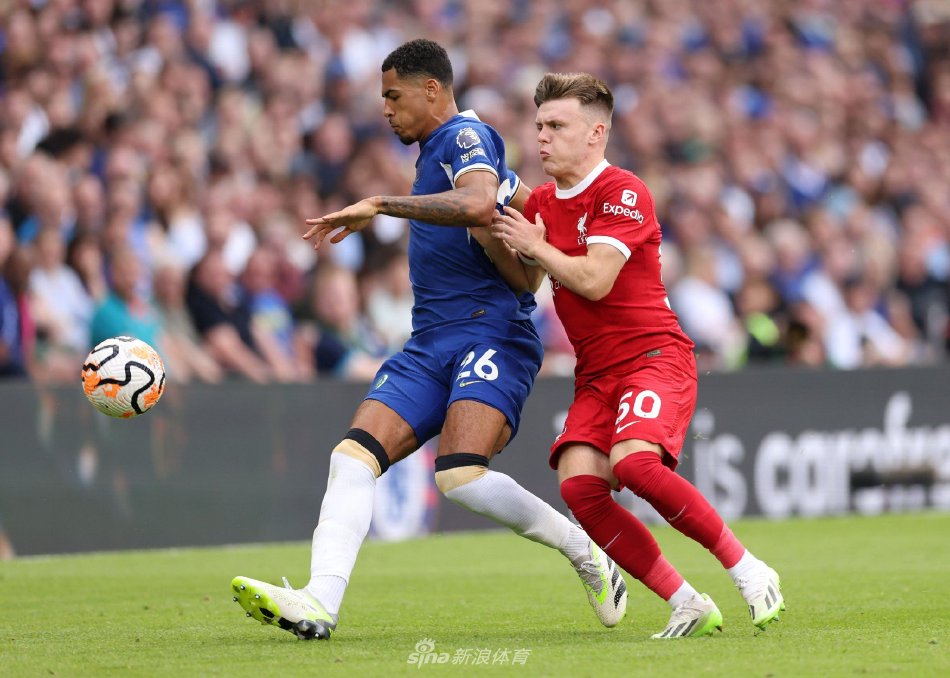 球评论员所 球评论员所